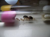 100_3238.JPG