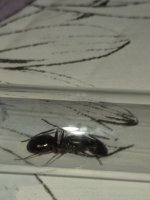 20260916_175751.jpg