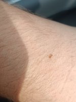 IMG_20260917_163747.jpg