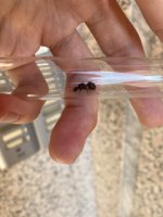 IMG_3059.jpeg IMG_3059.jpeg