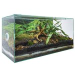 Vivarium-Panorama_1005718_2-2.jpg