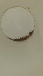 20260921_161922.jpg