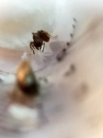 IMG20260921201720.jpg