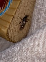 IMG_7428.jpeg