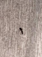 IMG_7432.jpeg