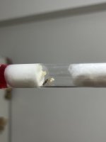 IMG_6312.jpeg