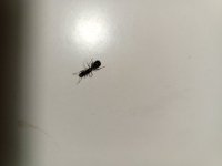 IMG_20260923_175602_049.jpg
