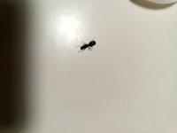 IMG_20260923_175601_102.jpg
