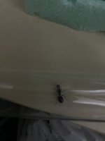 IMG_1880.jpeg