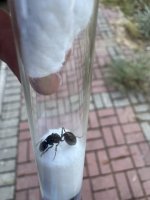 IMG_8735.jpeg