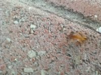 MVIMG_20260928_175304.jpg
