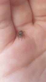20260904_094206.jpg
