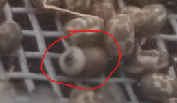 1790772435346.png 1790772435346.png