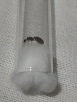 IMG_20260930_210153.jpg