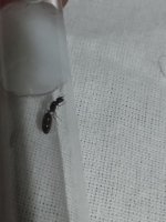 IMG_20260930_223709.jpg
