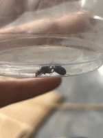 IMG_5622.jpeg