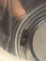IMG_5620.jpeg