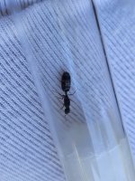20261004_161928.jpg