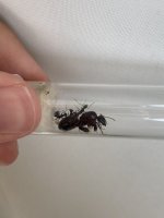 IMG_0075.jpeg