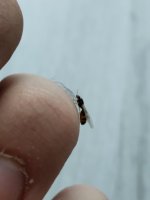 IMG_20261005_164920.jpg
