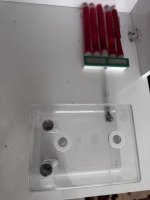 IMG_8525.jpeg