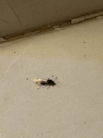 IMG_9576.jpeg