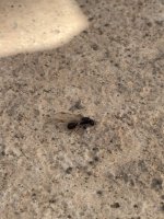 IMG_9980.jpeg