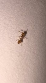 IMG_0363.jpeg
