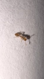 IMG_0365.jpeg