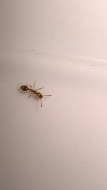 IMG_0354.jpeg
