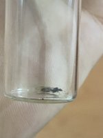 IMG_7578.jpeg