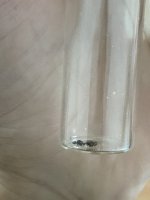 IMG_7579.jpeg