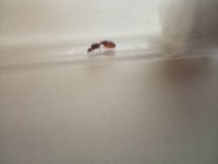 IMG_20261008_165502.jpg