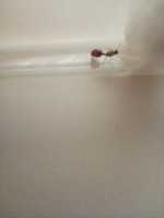 IMG_20261008_165517.jpg