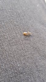 IMG_20261008_172850.jpg