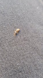 IMG_20261008_172849.jpg