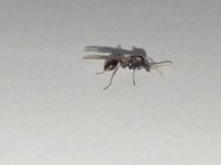 IMG_20261008_173658.jpg