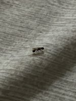 IMG_7598.jpeg