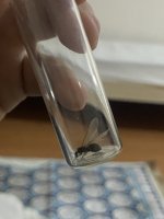 IMG_7592.jpeg