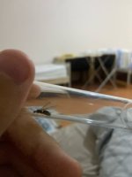 IMG_7589.jpeg