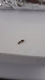 IMG_20261008_175644.jpg