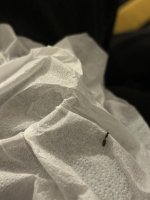 IMG_9604.jpeg