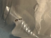 IMG_9599.jpeg