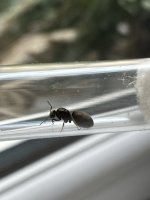 IMG_2272.jpeg