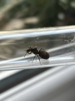 IMG_2271.jpeg