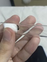 IMG_3660.jpeg