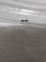 IMG_20261010_205005.jpg