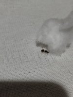 IMG_20261010_204747.jpg