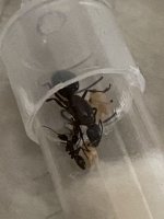 IMG_3284.jpeg