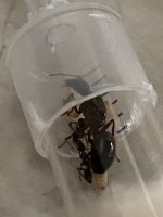 IMG_3283.jpeg